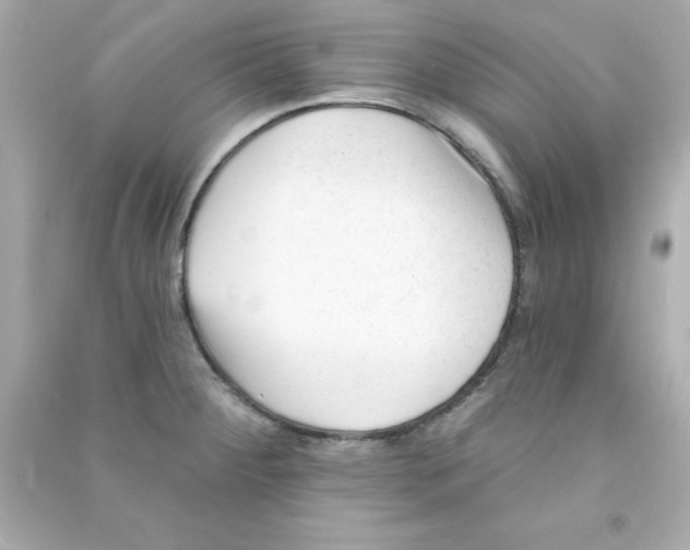X0000090481284200708102148
