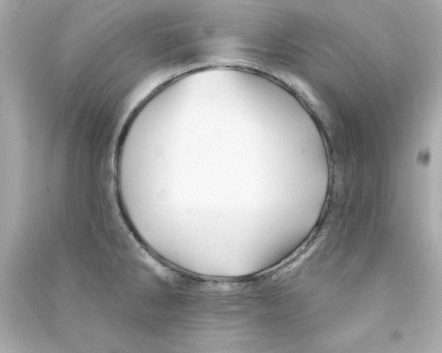 X0000090481286200708102148