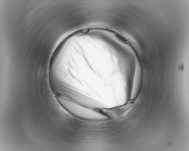 X0000090481288200708102148