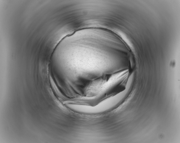 X0000090481289200708102148
