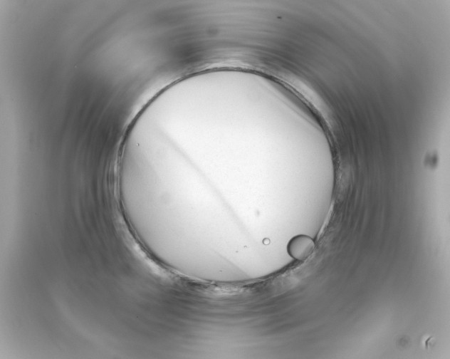 X0000090481290200708102148