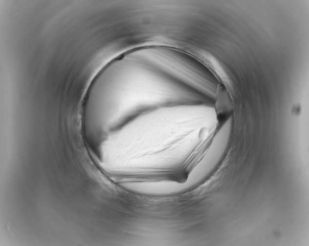 X0000090481292200708102148