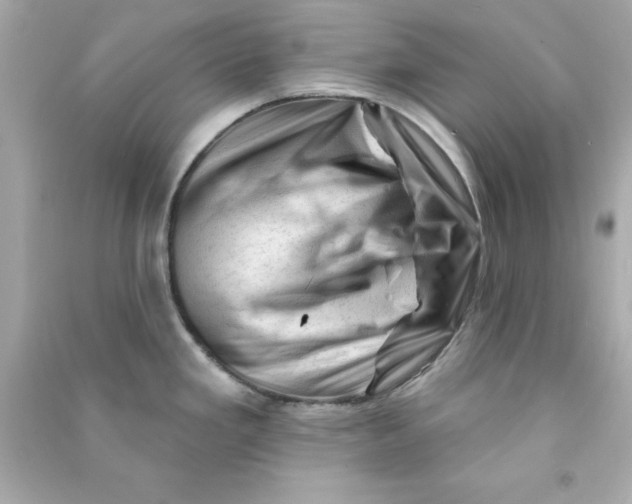 X0000090481293200708102148