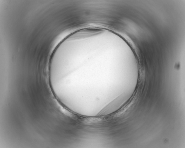 X0000090481294200708102148