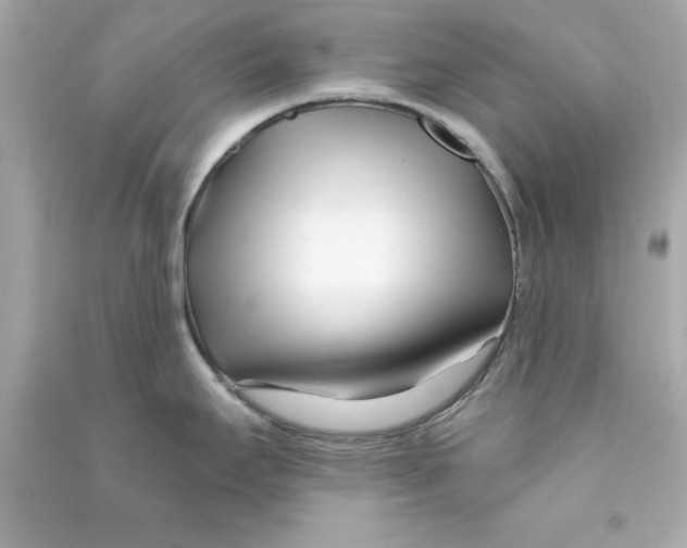 X0000090481295200708102148