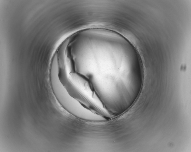 X0000090481296200708102148