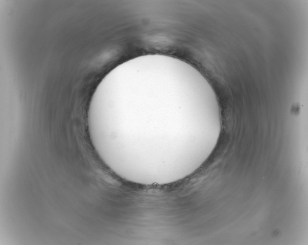 X0000090481297200708102147