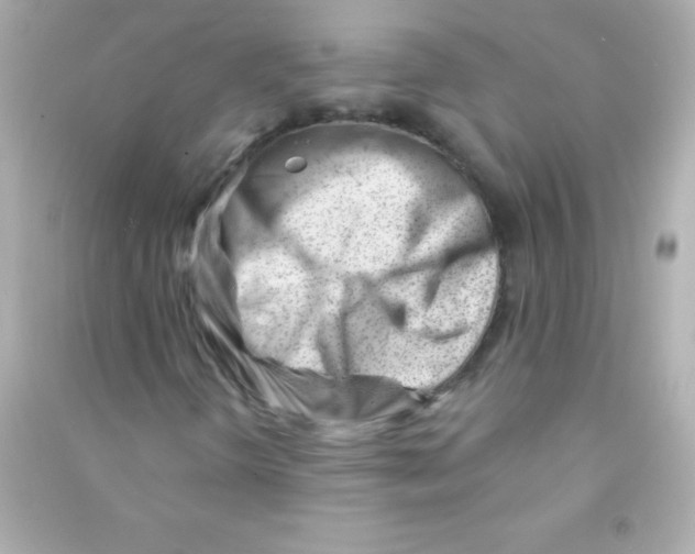 X0000090481298200708102147