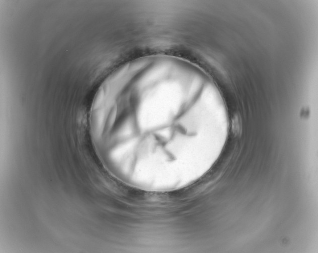 X0000090481299200708102147