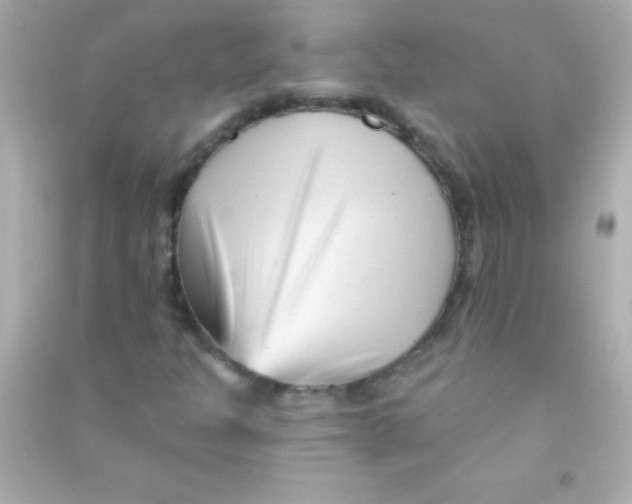 X0000090481301200708102147