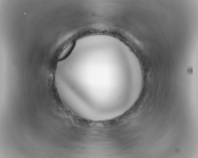 X0000090481302200708102147