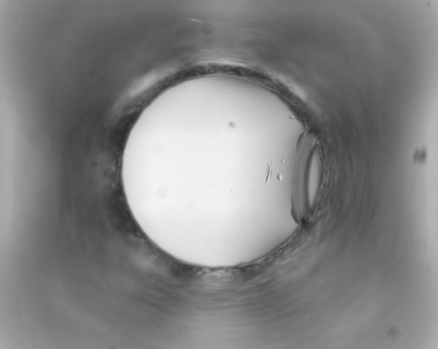X0000090481303200708102147