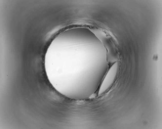 X0000090481304200708102147