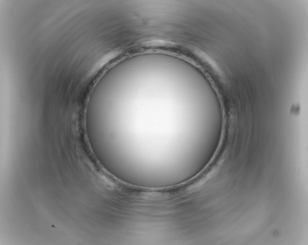 X0000090481305200708102147