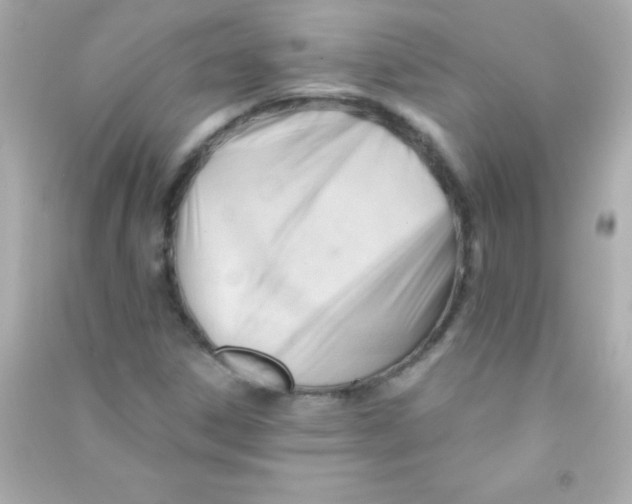 X0000090481306200708102147