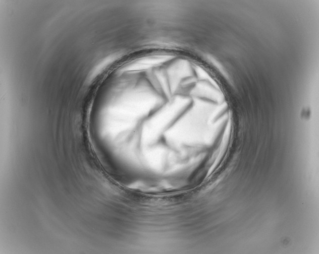 X0000090481307200708102147