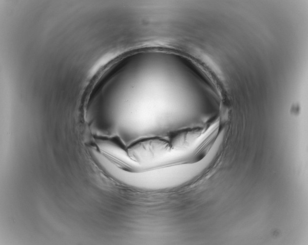 X0000090481308200708102147