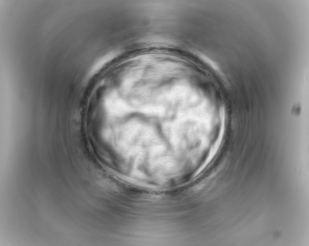 X0000090481309200708102147