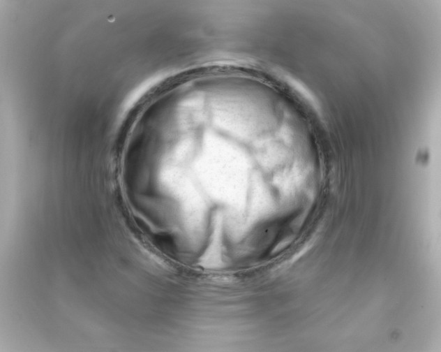 X0000090481310200708102147