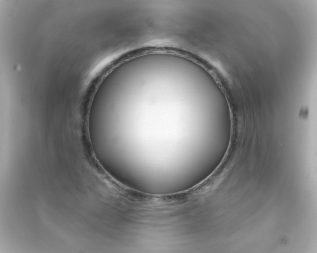 X0000090481311200708102147