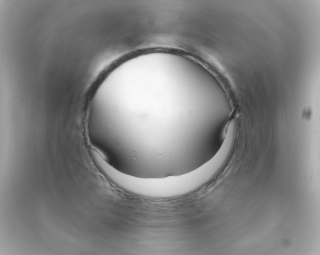 X0000090481312200708102147