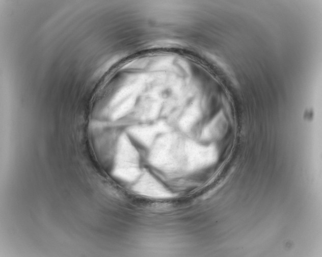 X0000090481313200708102147
