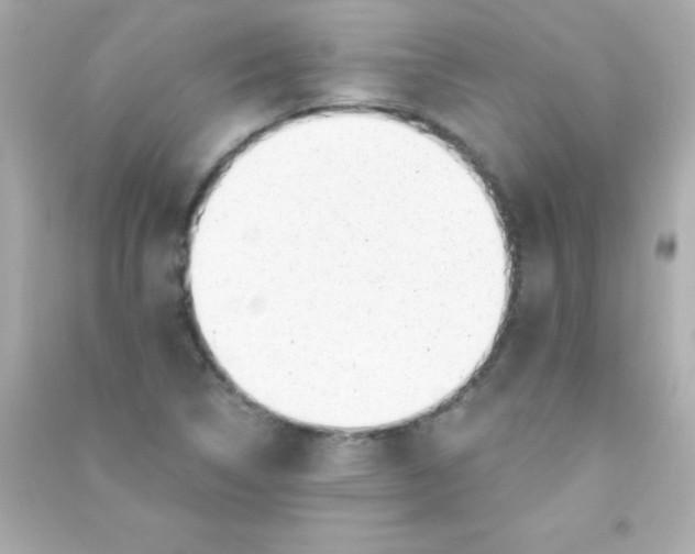 X0000090481314200708102147