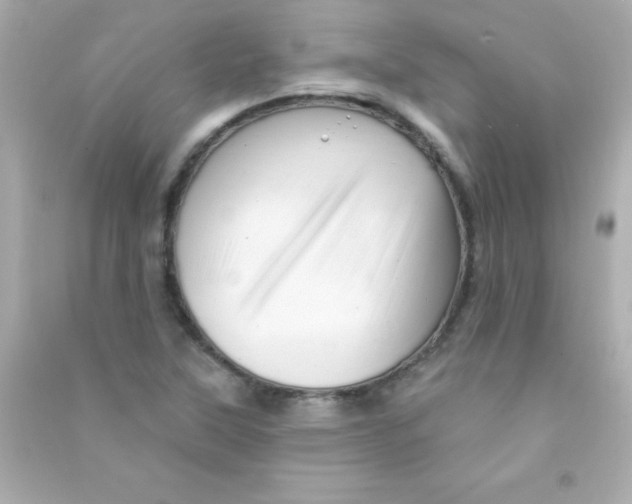 X0000090481315200708102147