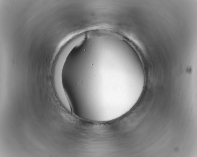 X0000090481316200708102147