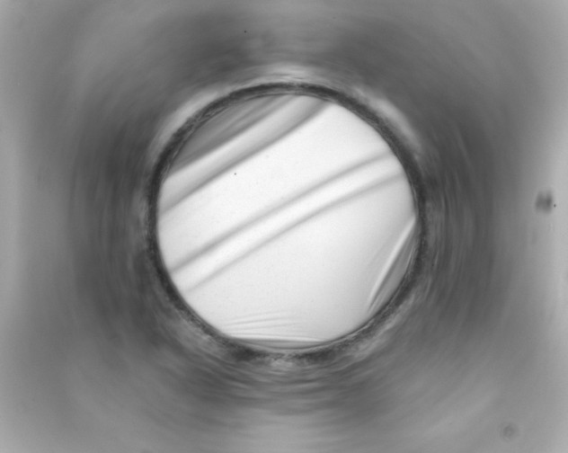 X0000090481318200708102147