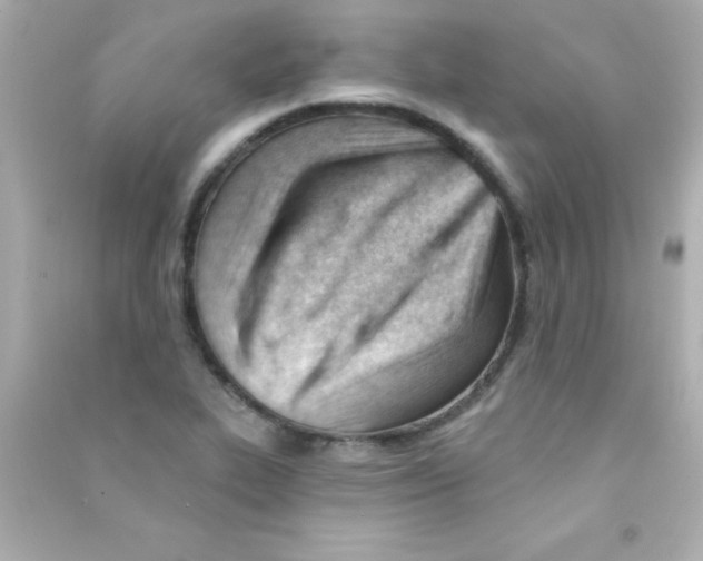 X0000090481319200708102147