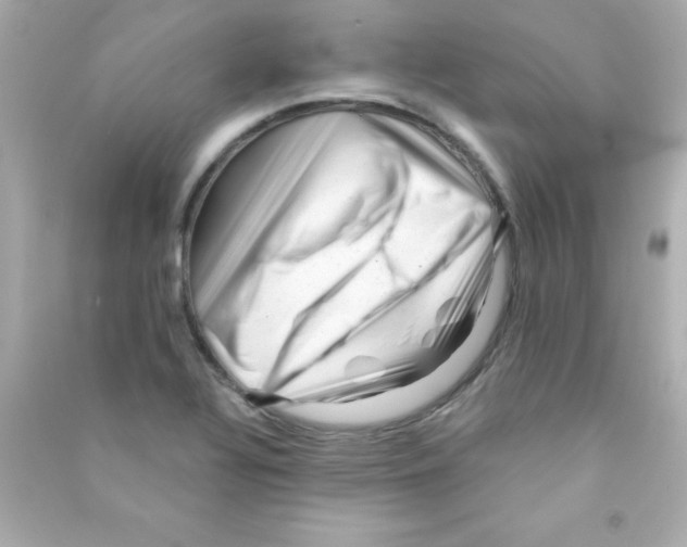 X0000090481320200708102147