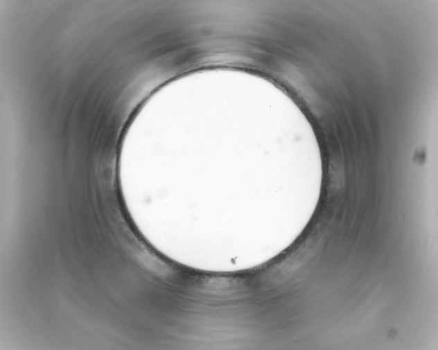X0000090481322200708102147
