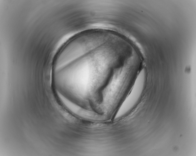 X0000090481323200708102147