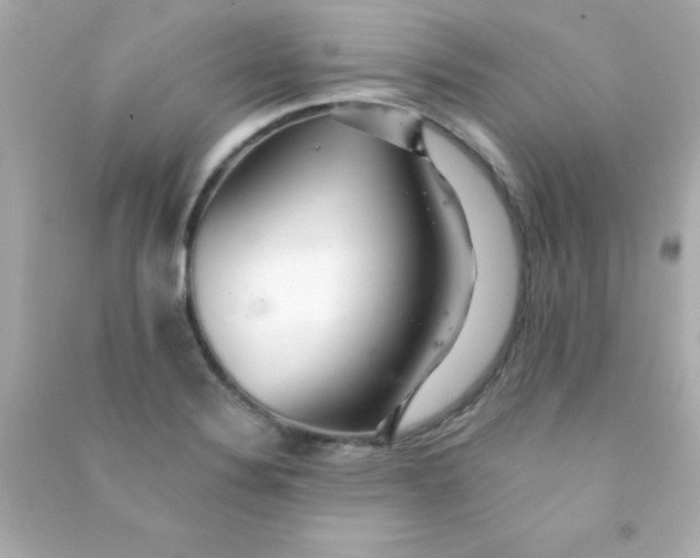 X0000090481324200708102147