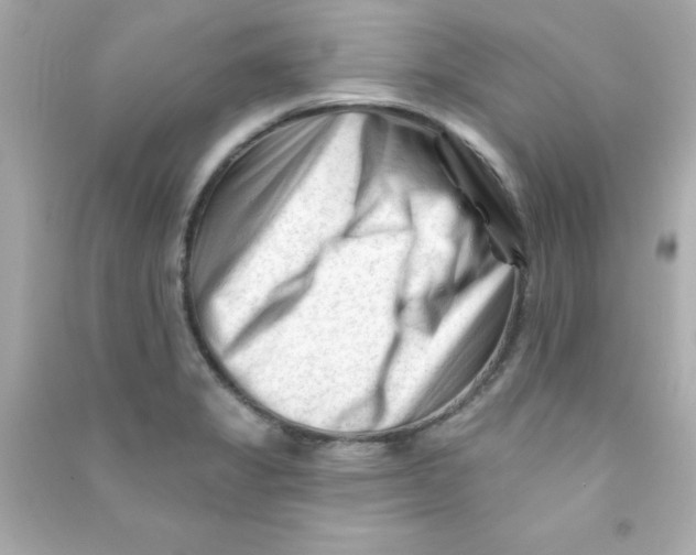 X0000090481325200708102147