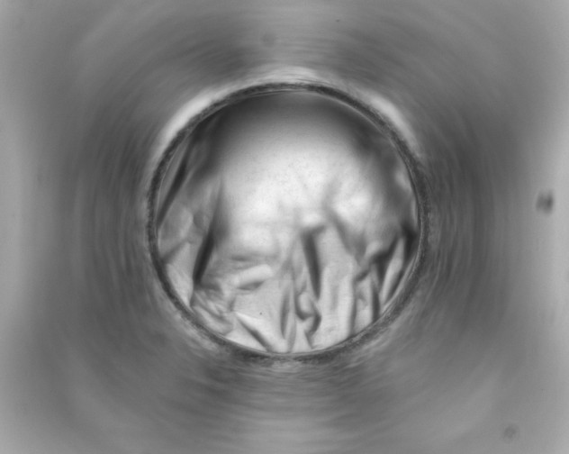 X0000090481326200708102147