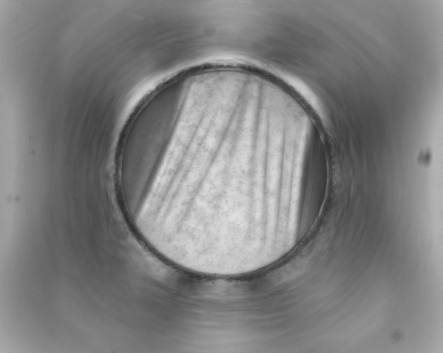 X0000090481327200708102147