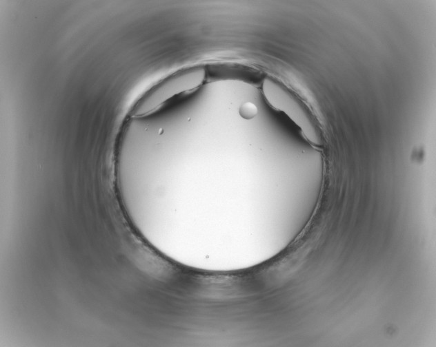 X0000090481328200708102147
