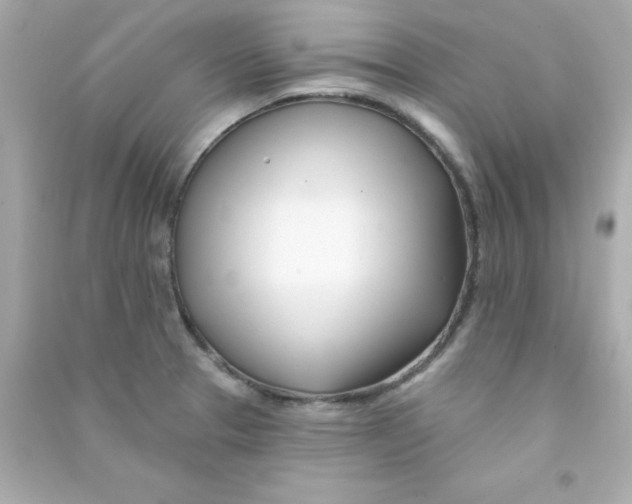 X0000090481329200708102147