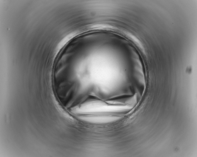 X0000090481330200708102147