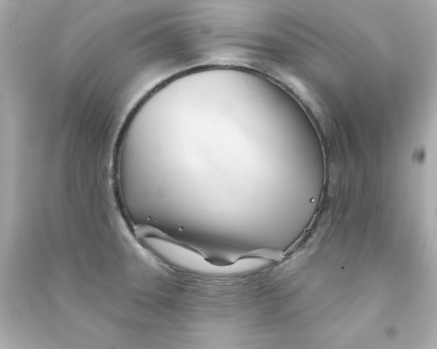 X0000090481331200708102147