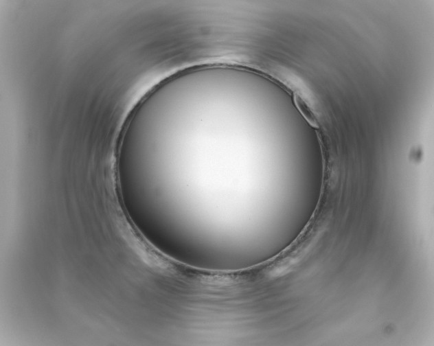 X0000090481332200708102147