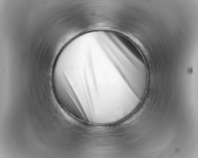 X0000090481333200708102147
