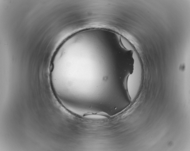 X0000090481334200708102147