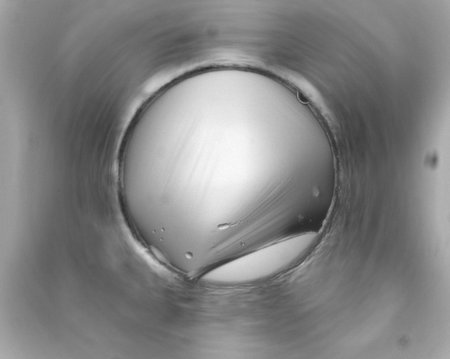 X0000090481335200708102147