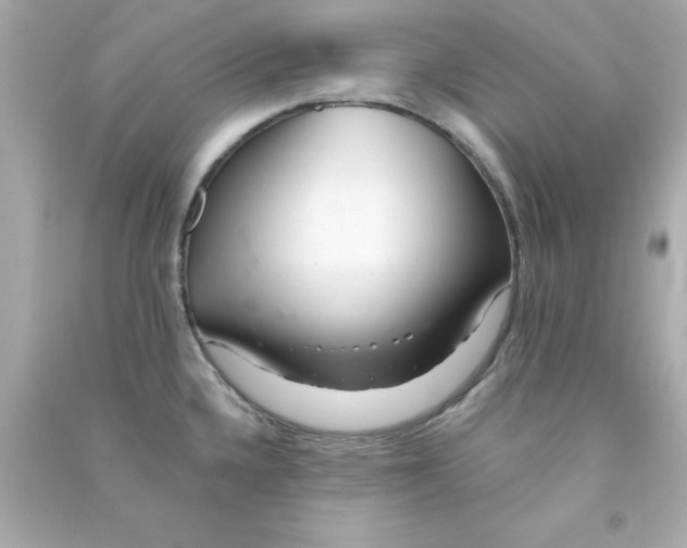 X0000090481336200708102147