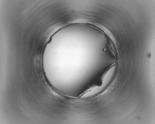 X0000090481337200708102147
