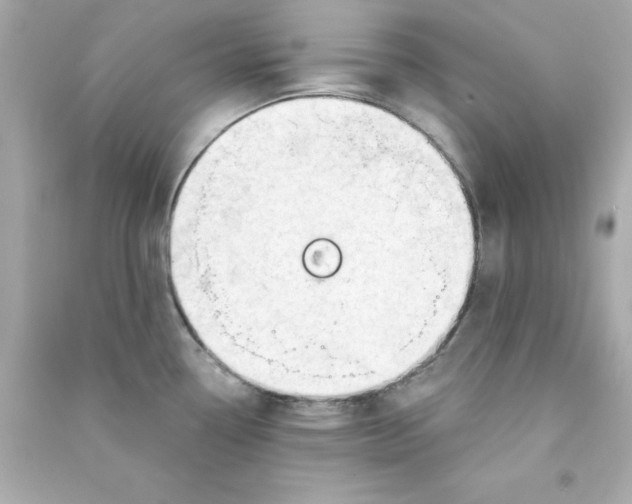X0000090481338200708102147