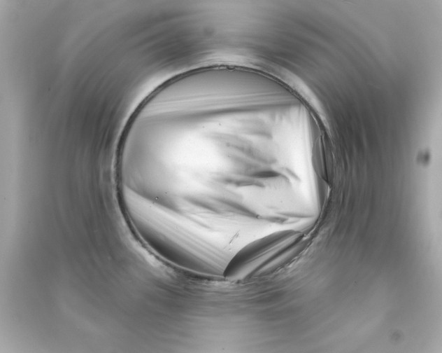 X0000090481339200708102147